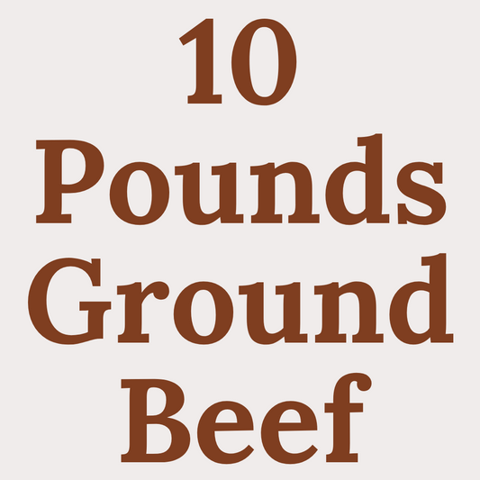 Locally raised 10 lb pack of 90/10 Ground Beef from Prairie Raised Beef—bulk savings for meal prep, family meals, and stocking the freezer.