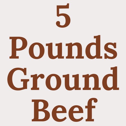 Locally raised 5 lb pack of 90/10 Ground Beef from Prairie Raised Beef—perfect for meal prep, burgers, and family meals.
